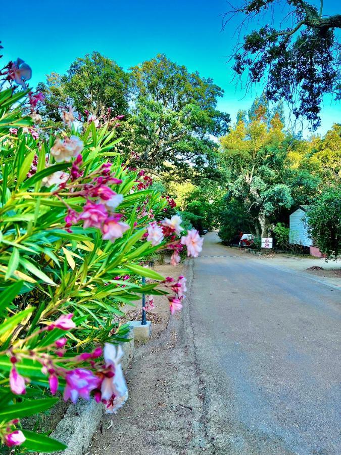 Camping Les Ilots D'Or Porto-Vecchio (Corsica) Exterior foto